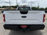 Used 2019 Ford F150 XL w/ Equipment Group 101A Mid image 5