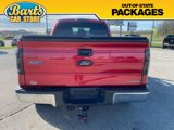 Used 2011 Ford F150 XLT image 5