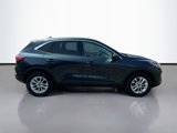 Used 2022 Ford Escape SE w/ Convenience Package image 4