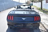 Used 2022 Ford Mustang Premium image 6
