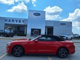 Used 2019 Ford Mustang Premium image 2