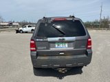 Used 2010 Ford Escape Limited image 6