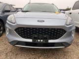 Used 2022 Ford Escape SEL w/ Technology Package image 2