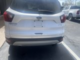 Used 2019 Ford Escape SEL image 6