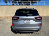 Used 2024 Ford Escape ST-Line w/ Tech Pack #1 image 4