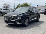 Used 2022 Hyundai Santa Fe SEL w/ Convenience Package image 3