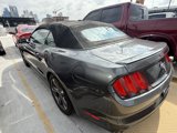 Used 2016 Ford Mustang Convertible w/ Equipment Group 051A image 4