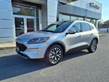 Used 2020 Ford Escape Titanium image 2