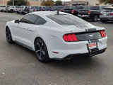 Used 2021 Ford Mustang Coupe w/ Equipment Group 101A image 3