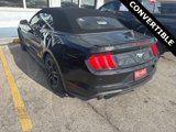 Used 2019 Ford Mustang Premium image 5