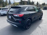 Used 2020 Ford Escape SE image 5