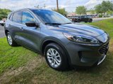 Certified 2022 Ford Escape SE image 3