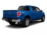 Used 2010 Ford F150 Platinum image 5