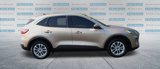 Used 2020 Ford Escape SE image 4