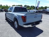 New 2024 Ford F150 XLT w/ Equipment Group 302A MID image 3