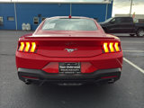 Used 2024 Ford Mustang Premium image 5