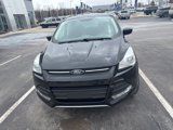 Used 2016 Ford Escape SE w/ SE Cold Weather Package image 3
