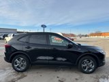 New 2025 Ford Escape ST-Line w/ Tech Pack #1 image 6