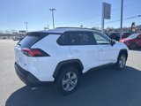 Used 2023 Toyota RAV4 XLE image 6
