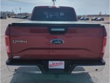 Used 2016 Ford F150 XLT w/ Equipment Group 302A Luxury image 6