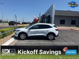 View Video