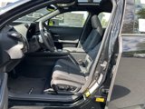New 2025 Lexus UX 300h AWD image 4
