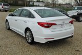 Used 2015 Hyundai Sonata Limited image 3