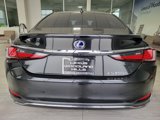 Used 2020 Lexus ES 300h w/ Premium Package image 4