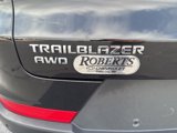 Used 2021 Chevrolet TrailBlazer ACTIV w/ Sun and Liftgate Package image 6