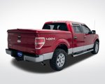 Used 2011 Ford F150 XLT w/ XLT Chrome Pkg image 5
