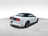 Used 2015 Ford Mustang Convertible w/ Equipment Group 051A image 5