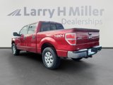 Used 2014 Ford F150 XLT w/ Equipment Group 302A Luxury image 3