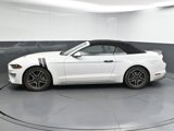 Used 2019 Ford Mustang Premium image 5