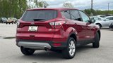 Used 2017 Ford Escape SE image 5
