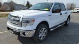 Used 2014 Ford F150 XLT w/ Equipment Group 302A Luxury image 1