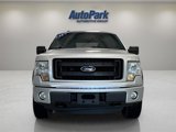 Used 2014 Ford F150 STX w/ Equipment Group 201A Mid image 2
