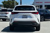 Used 2024 Lexus NX 250 FWD image 5
