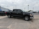 Used 2021 Ford F150 XLT w/ Equipment Group 302A High image 5