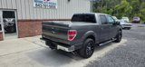 Used 2013 Ford F150 XLT w/ Luxury Equipment Group image 5
