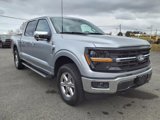 New 2024 Ford F150 XLT w/ Equipment Group 302A MID image 3