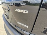 Used 2019 Honda CR-V Touring image 6