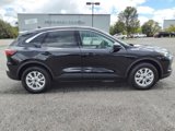 New 2024 Ford Escape Active image 3