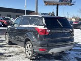 Used 2019 Ford Escape SE image 6