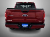 Used 2015 Ford F150 XLT w/ Equipment Group 302A Luxury image 6