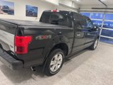 Used 2019 Ford F150 Platinum w/ Equipment Group 701A Luxury image 5