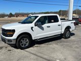 New 2025 Ford F150 XLT w/ Equipment Group 302A MID image 4