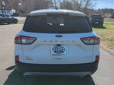 Used 2022 Ford Escape SEL image 4