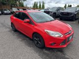 Used 2013 Ford Focus SE image 1