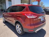 Used 2016 Ford Escape Titanium image 3