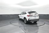 Used 2022 Ford Escape SEL image 5